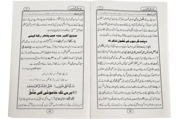 Khamosh Shahzada - Image 2