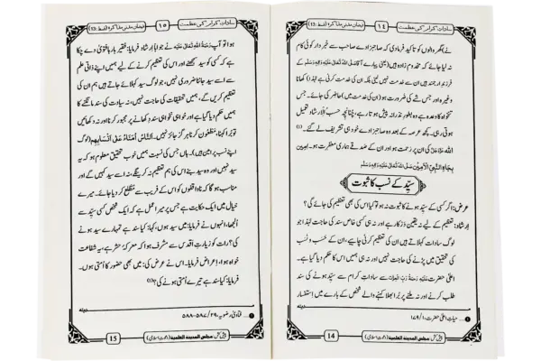 Sadate Kiram Ki Azmat - Image 2