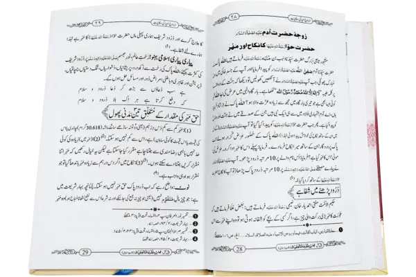 Azwaje Anbiya ki Hikayat - Image 2