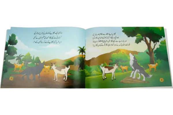 Rehnumai Karne Wala Bheria - Image 2