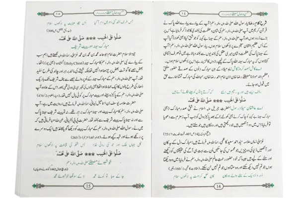 Husne Jamale Mustafa - Image 3