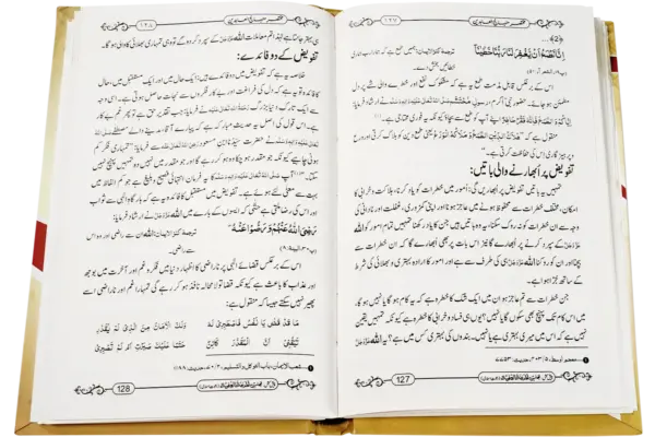 Mukhtasar Minhajul Aabideen - Image 2