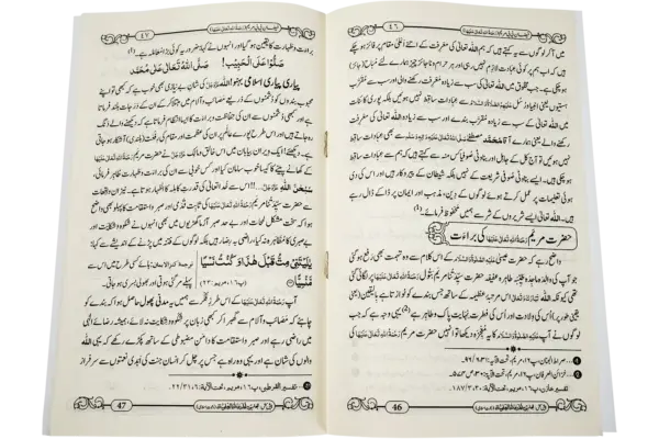 Faizane Bibi Maryam - Image 2