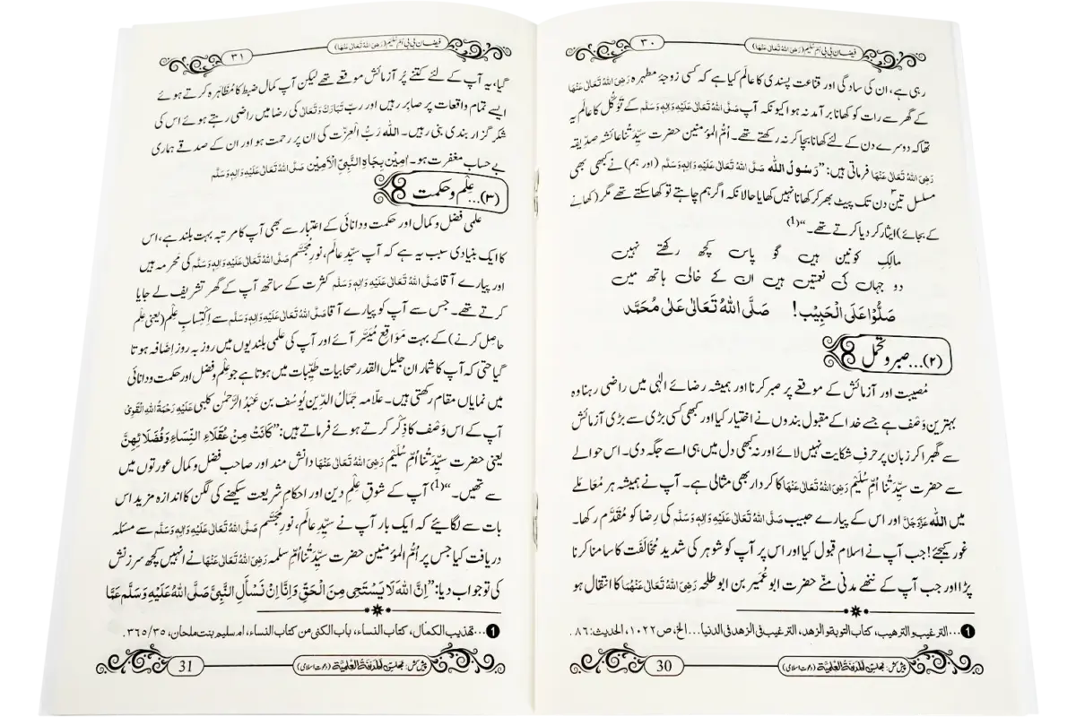 Faizane Bibi Umme Sulaim رضی اللہ تعالی عنھا - Image 2