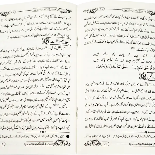 Faizane Bibi Umme Sulaim رضی اللہ تعالی عنھا - Image 2