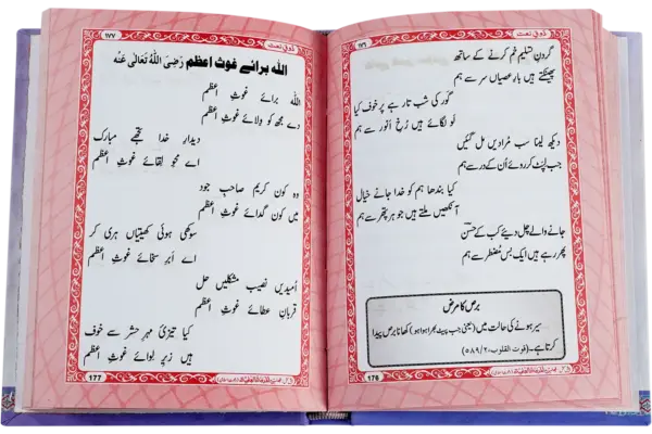 Zoqe Naat - Image 2