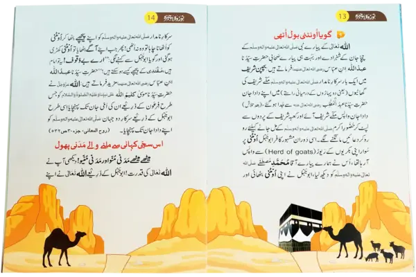 Noor Wala Chehra - Image 2
