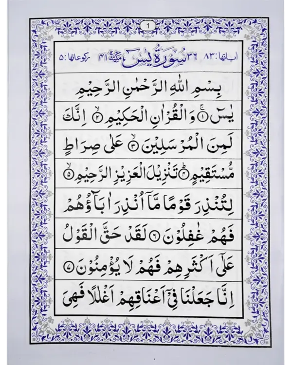 Yaseen Sharif - Image 2