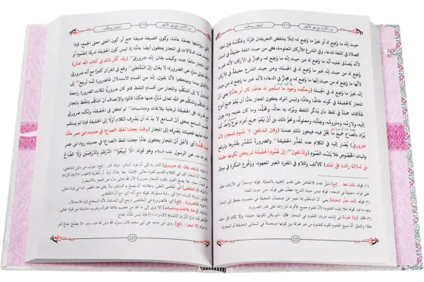 Noorul Anwaar Maa Hashia Naharul Anhaar - Image 2