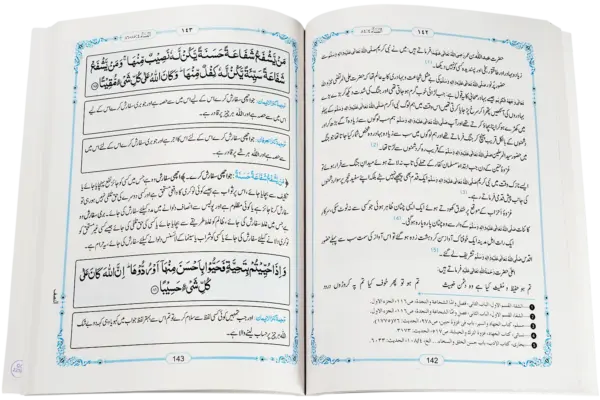 Tafseere Sura Nisaa - Image 2