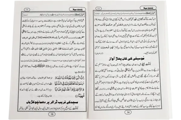 Basant Mella - Image 3