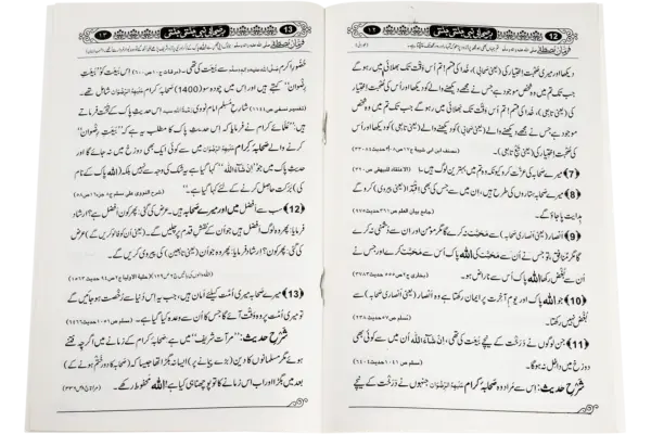 Her Sahabie Nabi Jannati Jannati - Image 3