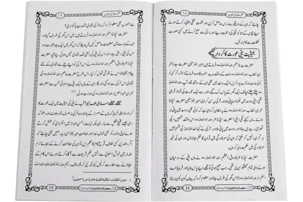 Ilmo Ulama Ki Shan - Image 2