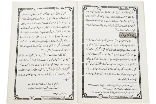 Ishqe Rasool ﷺ - Image 2