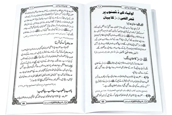 Faizane Mazarate Auliya - Image 3