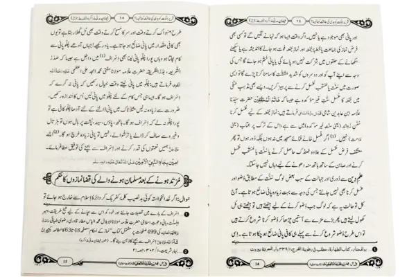 Shareer Jinnat Ko Badi Ki Taqat Kehna Kesa - Image 3