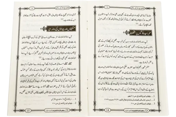 Faizane Syed Ahmed Kabeer - Image 3