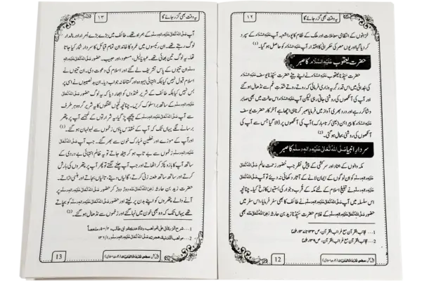 Ye Waqt Bhi Ghuzar Jae Ga - Image 3