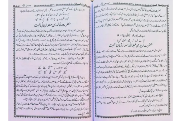 Anwarul Bayan 3 Jild Set - Image 3