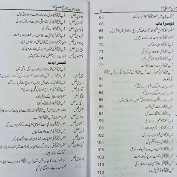 Shifa Sharif - Image 2