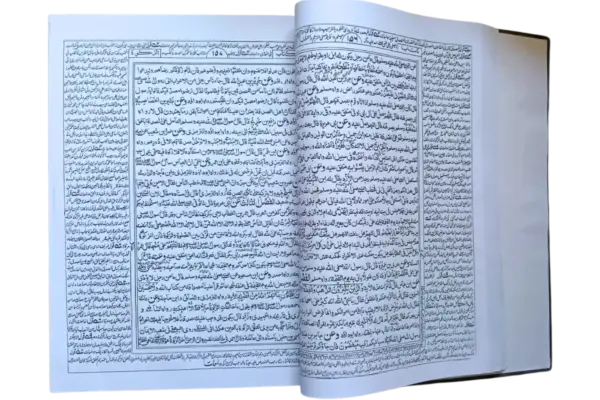 Mishkatul Masabih - Image 2