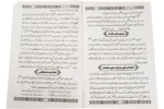 Faizane Shaban - Image 2