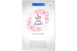 Dil Jeetne ka Nuskha