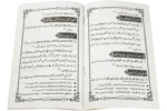 Aik Zamana Aisa Ae Ga - Image 2