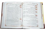 Bahare Shariat - Image 2