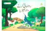 Rehnumai Karne Wala Bheria
